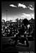 ModernScienceBiteOfLasVegas2008_015