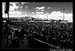 LenkaBiteOfLasVegas2008_018