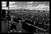 LenkaBiteOfLasVegas2008_019