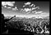 MixStaffBiteOfLasVegas2008_034
