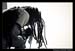 Nonpoint_Extreme_Thing_2008_Photos_By_Fred_Morledge_PhotoFM_020