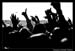 The_Crowd_Extreme_Thing_2008_Photos_By_Fred_Morledge_PhotoFM_010