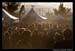 The_Crowd_Extreme_Thing_2008_Photos_By_Fred_Morledge_PhotoFM_017