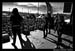 The_Seventh_Plague_Extreme_Thing_2008_Photos_By_Fred_Morledge_PhotoFM_023
