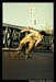 ExtremeThing2009SkateComp_027