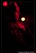 BrokenEndHOBFeb21_012