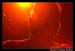 BrokenEndHOBFeb21_014