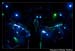 OtherwiseHOBFeb21_018