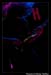 OtherwiseHOBFeb21_026