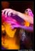 OpiumAlibiFreakinFrogCrowdPhotos_037