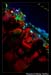 Otherwise_RockTheRoof_Diablos Cantina_010