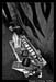 Otherwise_HOB_010