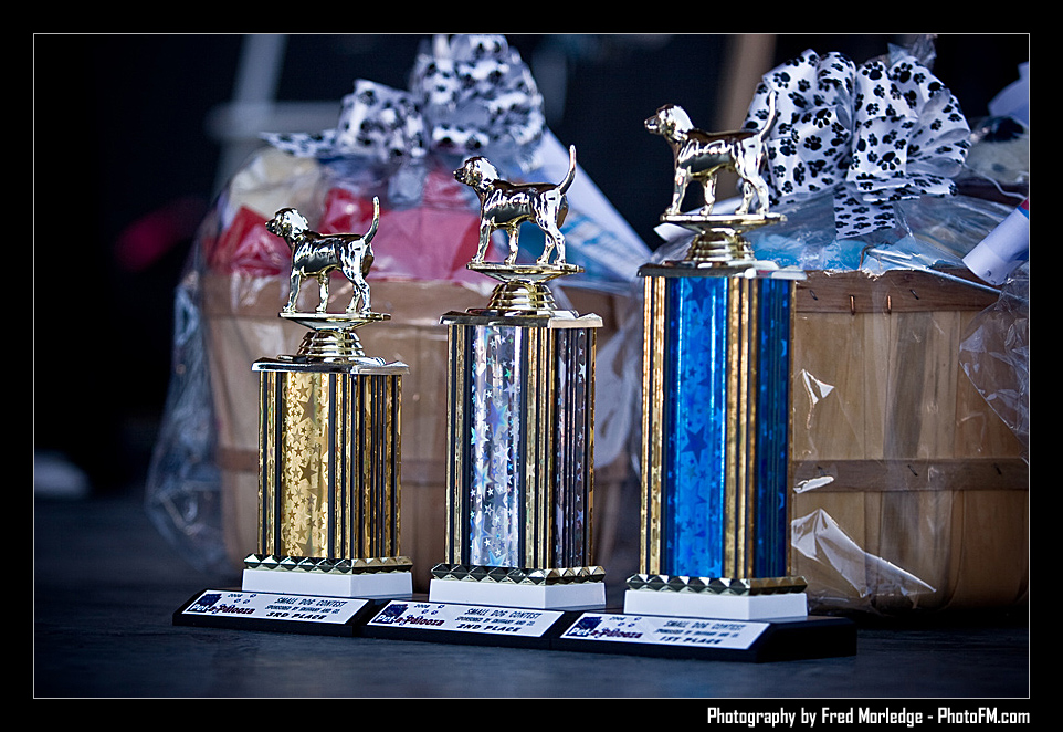 Petapalooza2008Trophies_001