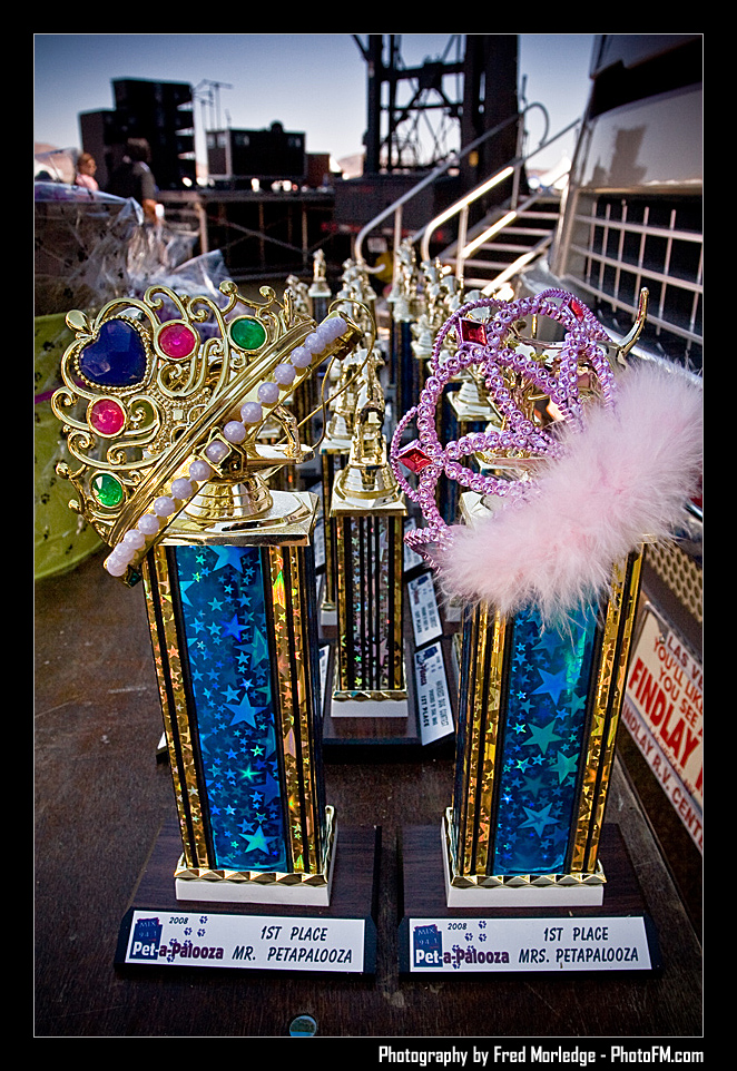 Petapalooza2008Trophies_003