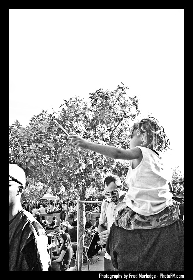 ReggaeInTheDesert2009Crowd012