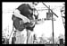 ReggaeInTheDesert2009OnePinShort027