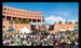 ReggaeInTheDesert2009OnePinShort037