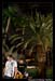 RockNRollWineMandalayBayBeach2008_026