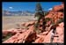 RedRockPantyWallByFredMorledge_004