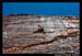 RedRockPantyWallByFredMorledge_010