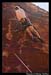 RedRockPantyWallByFredMorledge_040