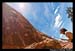 RedRockPantyWallByFredMorledge_044