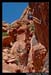 RedRockPantyWallByFredMorledge_049