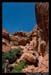 RedRockPantyWallByFredMorledge_050
