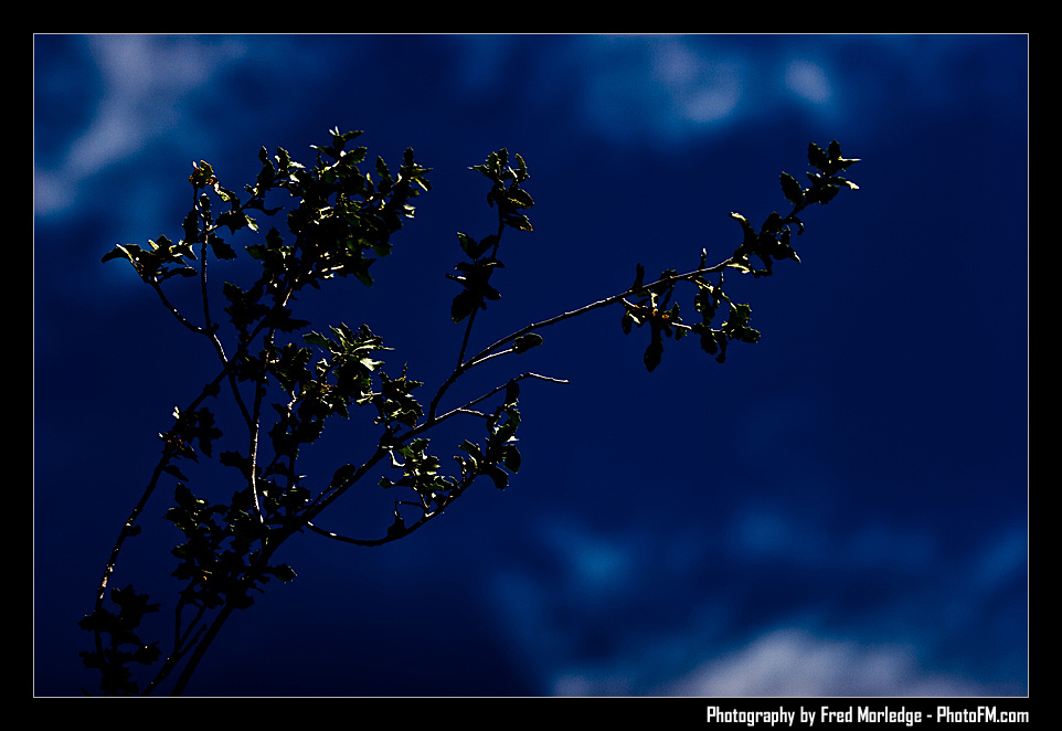 RedRockRaggedEdgesByPhotoFM_001