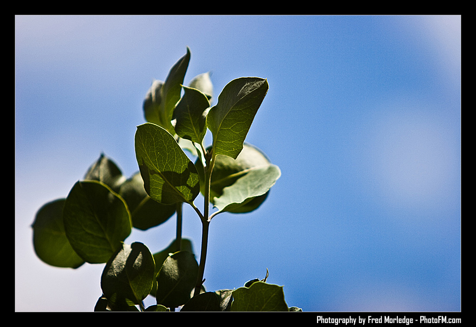 RedRockRaggedEdgesByPhotoFM_004