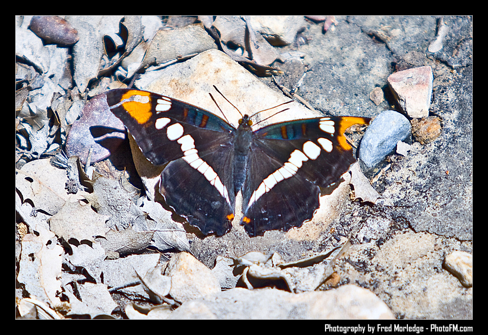 RedRockRaggedEdgesByPhotoFM_009