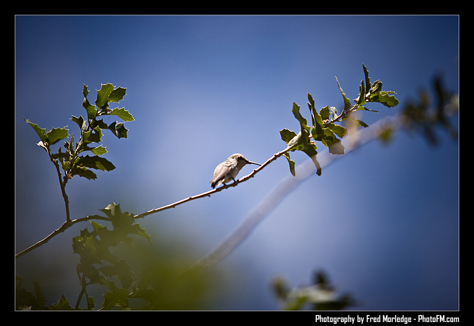 RedRockRaggedEdgesByPhotoFM_012