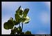 RedRockRaggedEdgesByPhotoFM_004