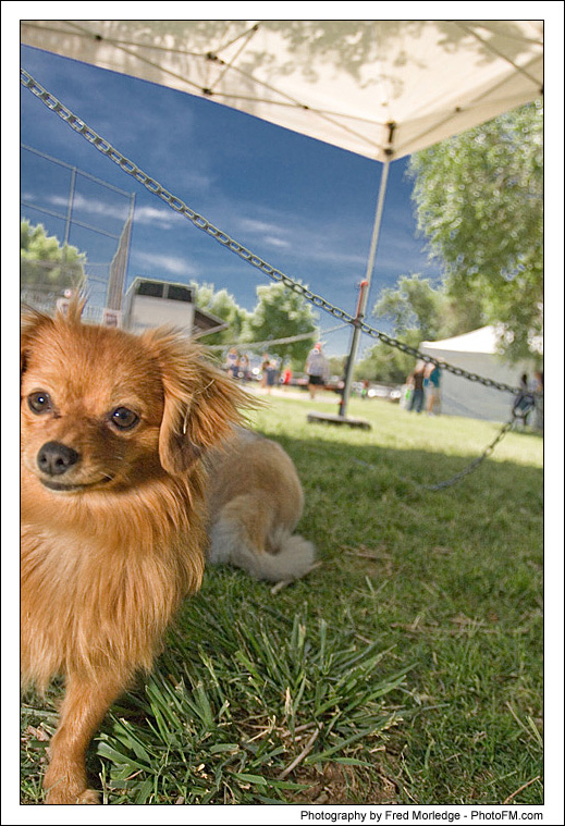 Kids Mix 2007 - General Photos - 057