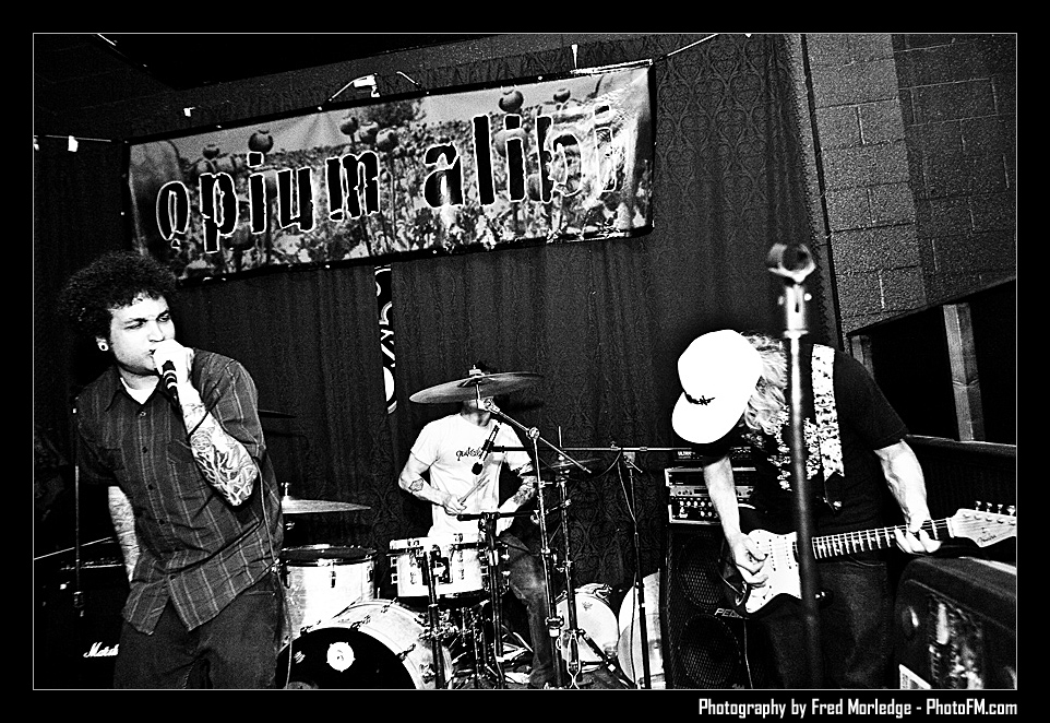 OpiumAlibiFreakinFrogbyPhotoFMFredMorledgeReasonToRebel_004