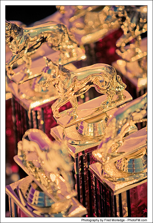 Pet-A-Palooza 2007 - Dog Contests - 011