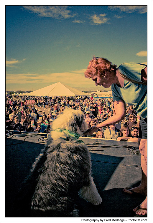 Pet-A-Palooza 2007 - Dog Contests - 021