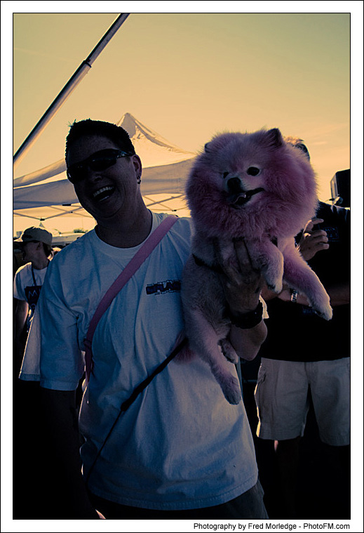 Pet-A-Palooza 2007 - Dog Contests - 023