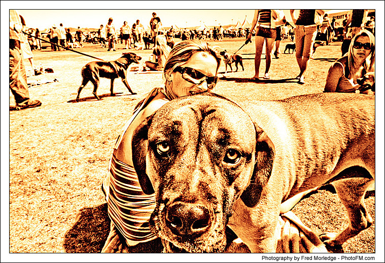 Pet-A-Palooza 2007 - Pooch Faces - 021