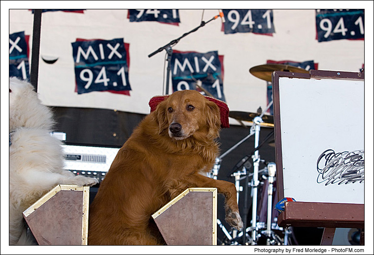 Pet-A-Palooza 2007 - Popovich  Comedy Pet Theater - 001