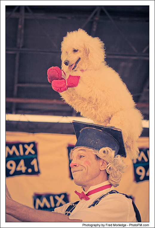 Pet-A-Palooza 2007 - Popovich  Comedy Pet Theater - 011