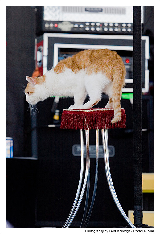 Pet-A-Palooza 2007 - Popovich  Comedy Pet Theater - 018