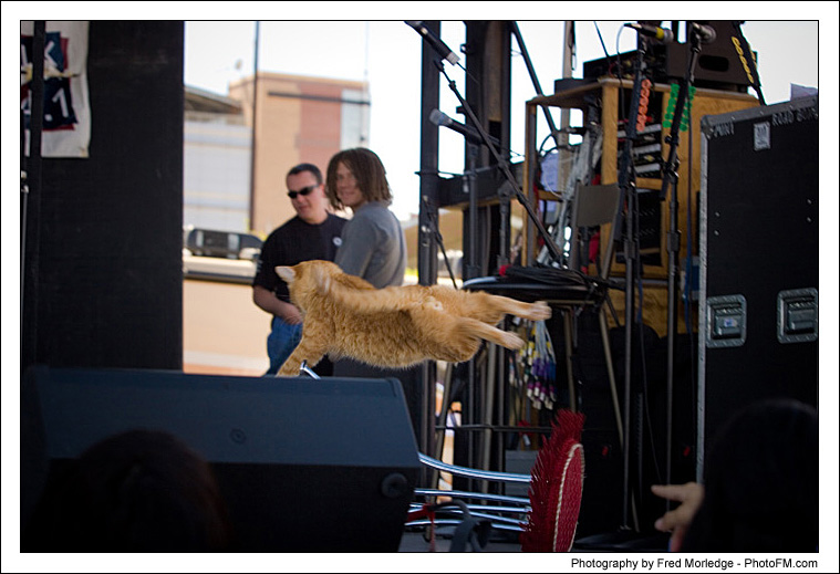 Pet-A-Palooza 2007 - Popovich  Comedy Pet Theater - 033