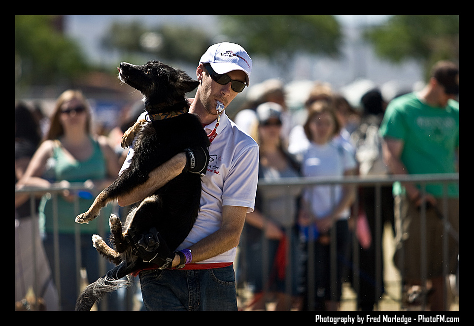 Petapalooza2008DogShowArena_002