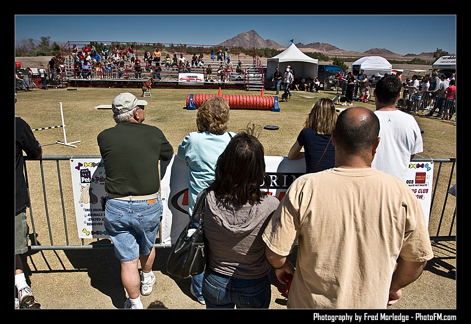 Petapalooza2008DogShowArena_005