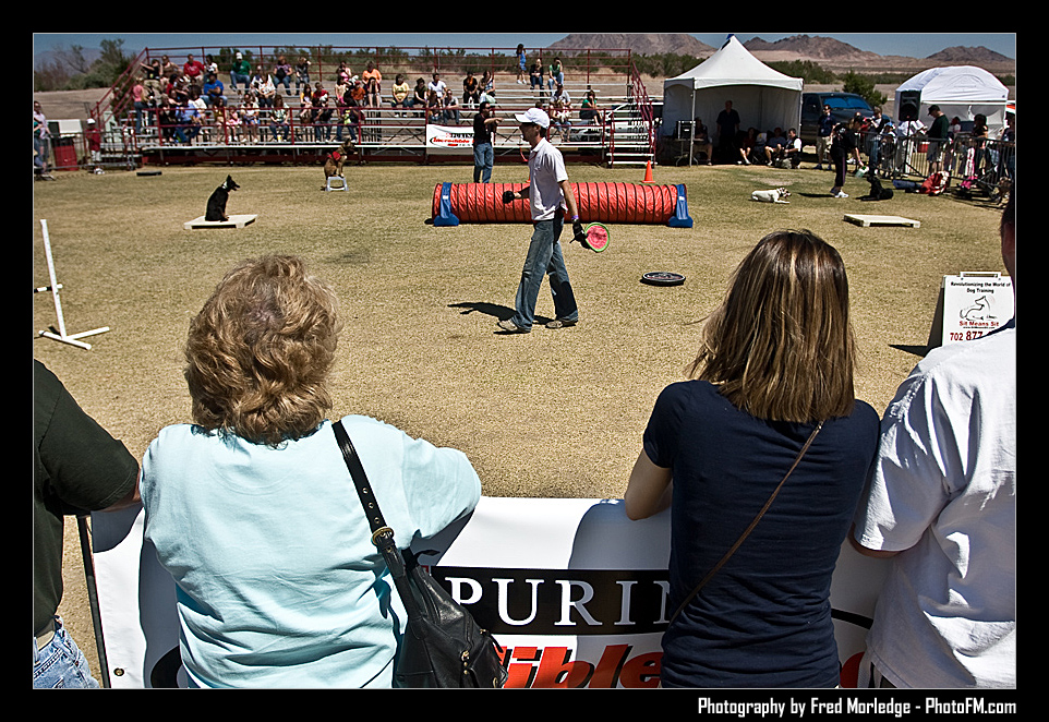 Petapalooza2008DogShowArena_006