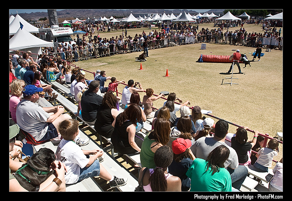 Petapalooza2008DogShowArena_014