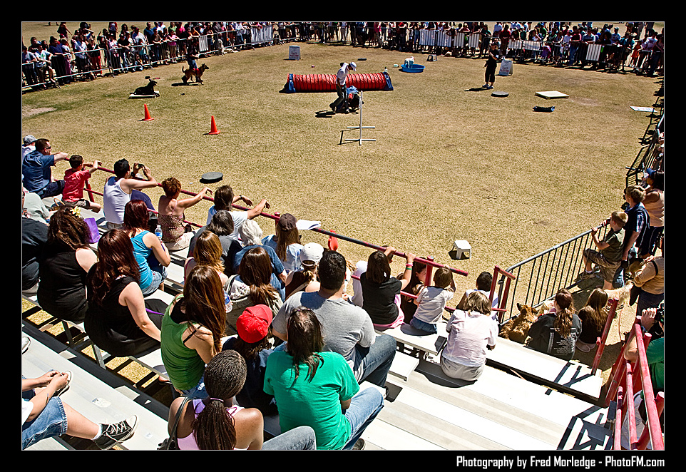 Petapalooza2008DogShowArena_015