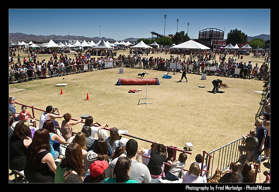 Petapalooza2008DogShowArena_016