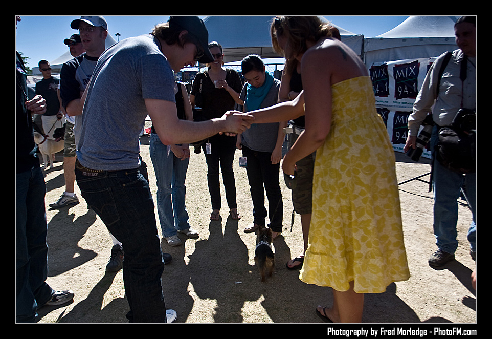 Petapalooza2008GavinDegraw_015